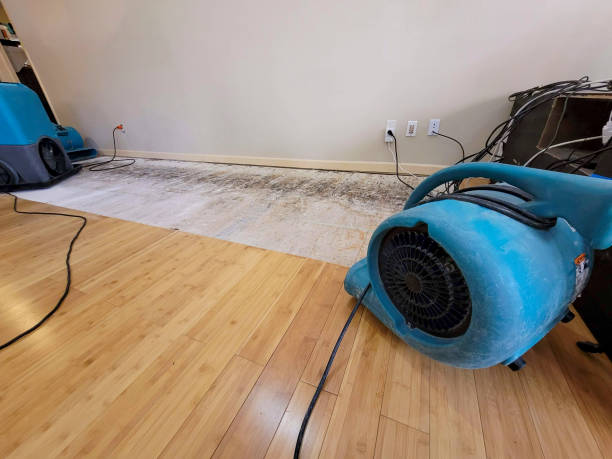 Professional Basement Flood Cleanup technician working in Van Meter, IA